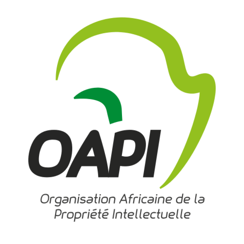 OAPI logo