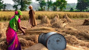 Hard Working Indian Woman Farmer wearing Saree, and working in h