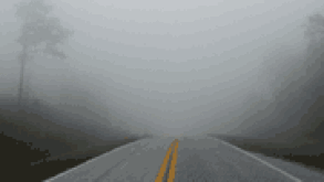 fog.gif