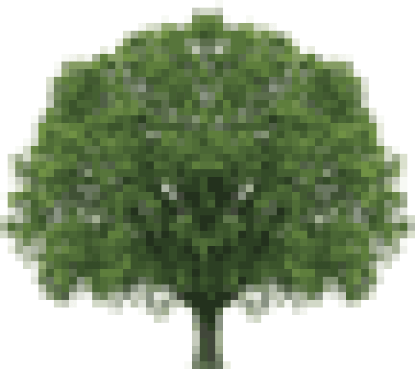 tree-puff.gif