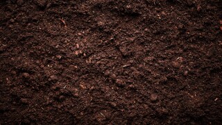 Soil