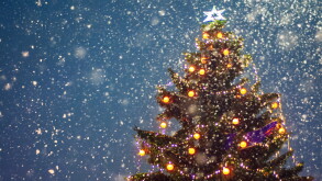 Illuminated christmas tree at night with falling snow and copy s