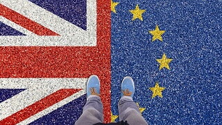 During the transition period, EU law continues to apply in and to the UK. 