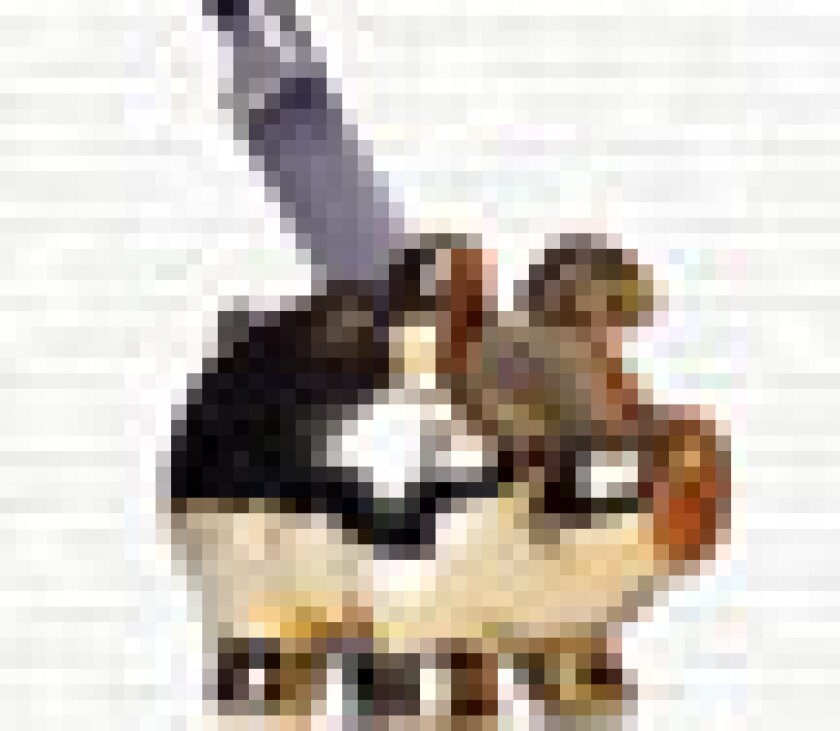 cover-puff.jpg