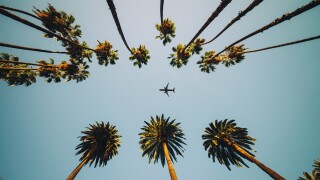 View of palm trees, sky and aircraft flying