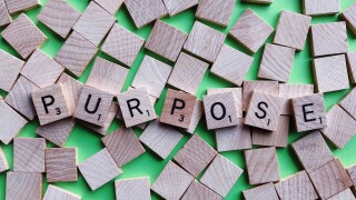 purpose-3959411.jpg