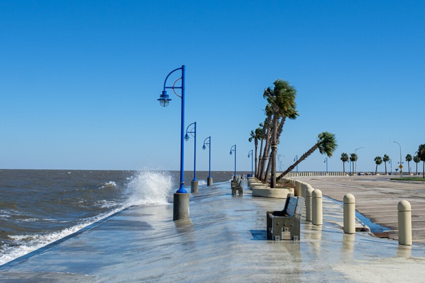 Waves on Lake Pontchartrain and Leaning Palm Tree in New Orleans