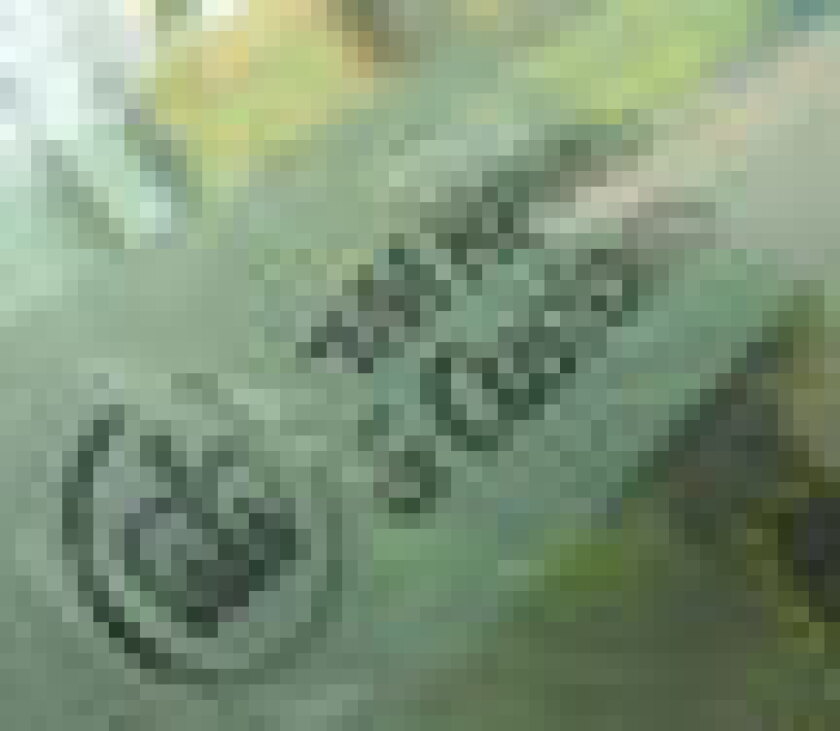 hmrc-puff.jpg