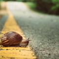sluggish