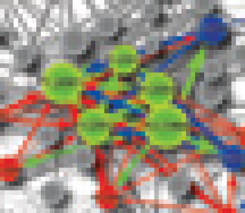 network-puff.jpg