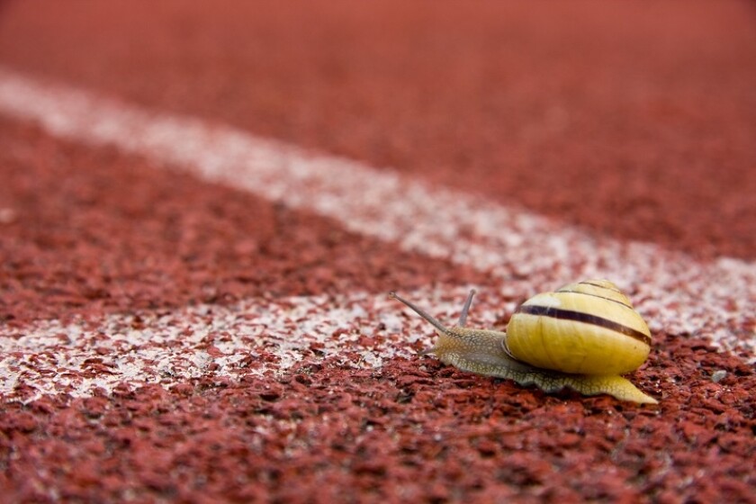 slug