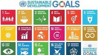 UN SDGs
