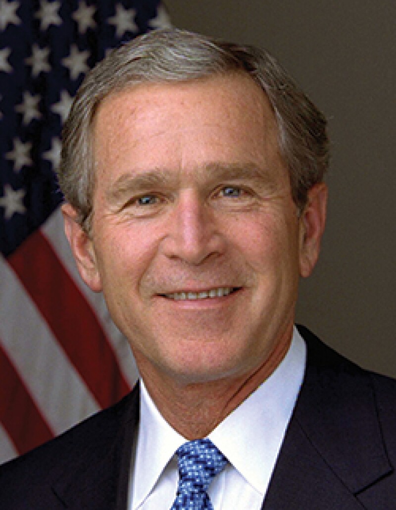 bush.jpg