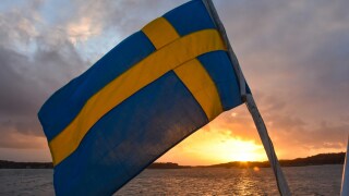 Swedish flag.jpg