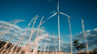 jan-kopriva-WLzT6WG7JGQ-unsplash (1).jpg