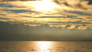 sunrise-7619586.jpg