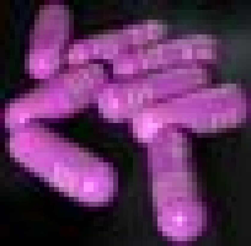 drugs50.jpg