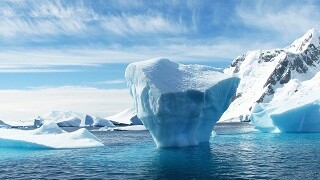 IceCAP