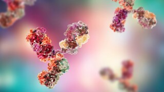 Molecular model of immunoglobulin