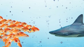 Cooperative compliance and early disclosures can keep the calm