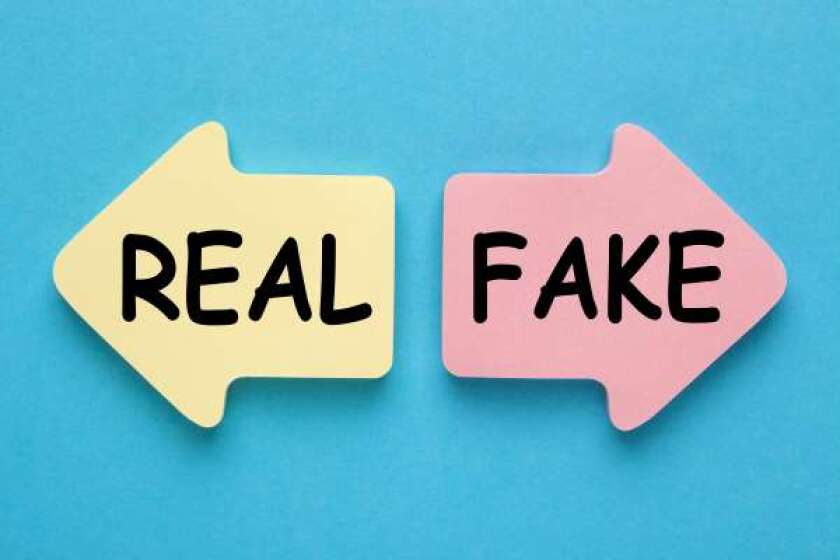 real-fake.jpeg