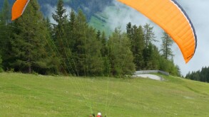 MTD's soft landing has been extended