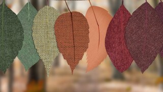 The new regulations are aligned with the 2017 OECD Transfer Pricing Guidelines