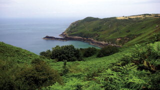 jersey.jpg