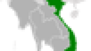 vietmap-50.png