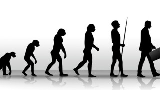 evolution.jpg