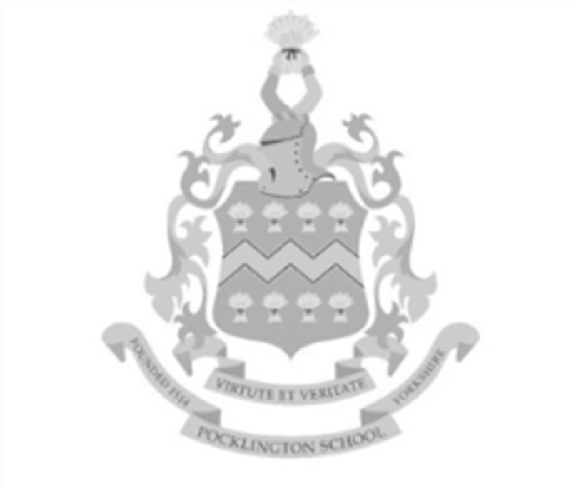 figure 1.png