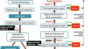 fig1.jpg