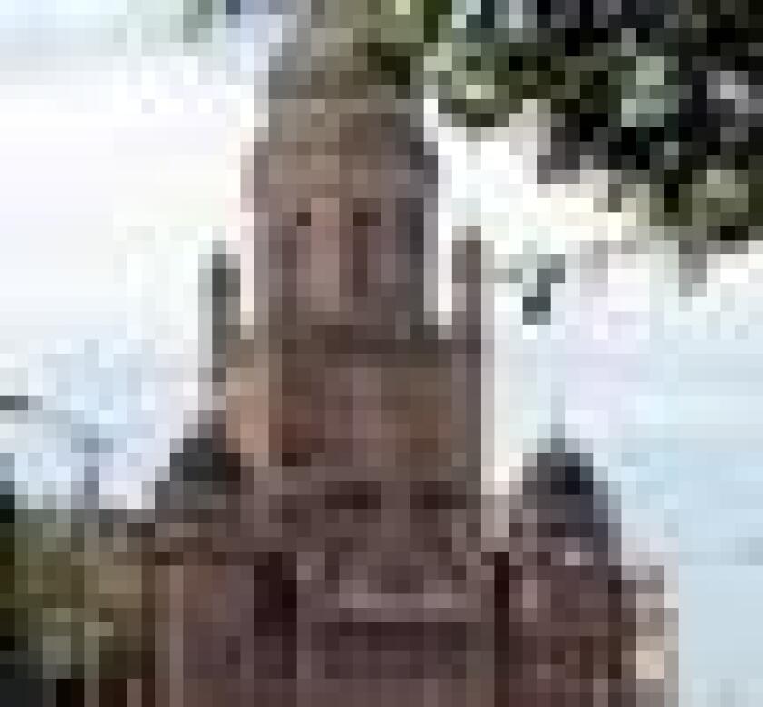 amum1.jpg