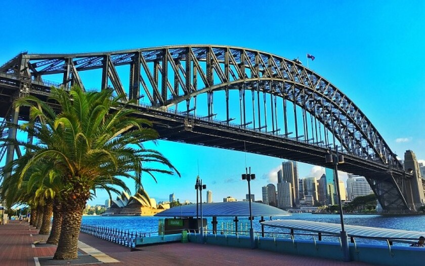 sydney large