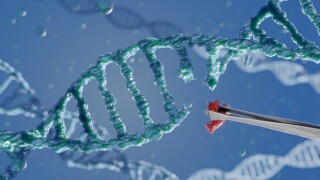 DNA strands to illustrate de CRISPR technology for genetic manipulation