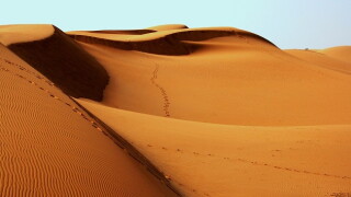 Desert