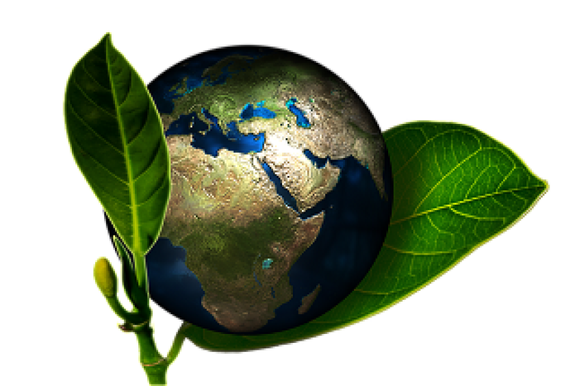 earth plant carbon environment 320 x 215