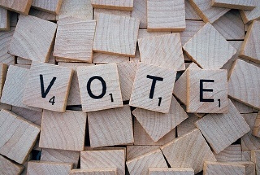 vote-320 x 215