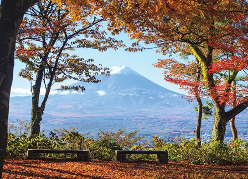 japan-600.jpg