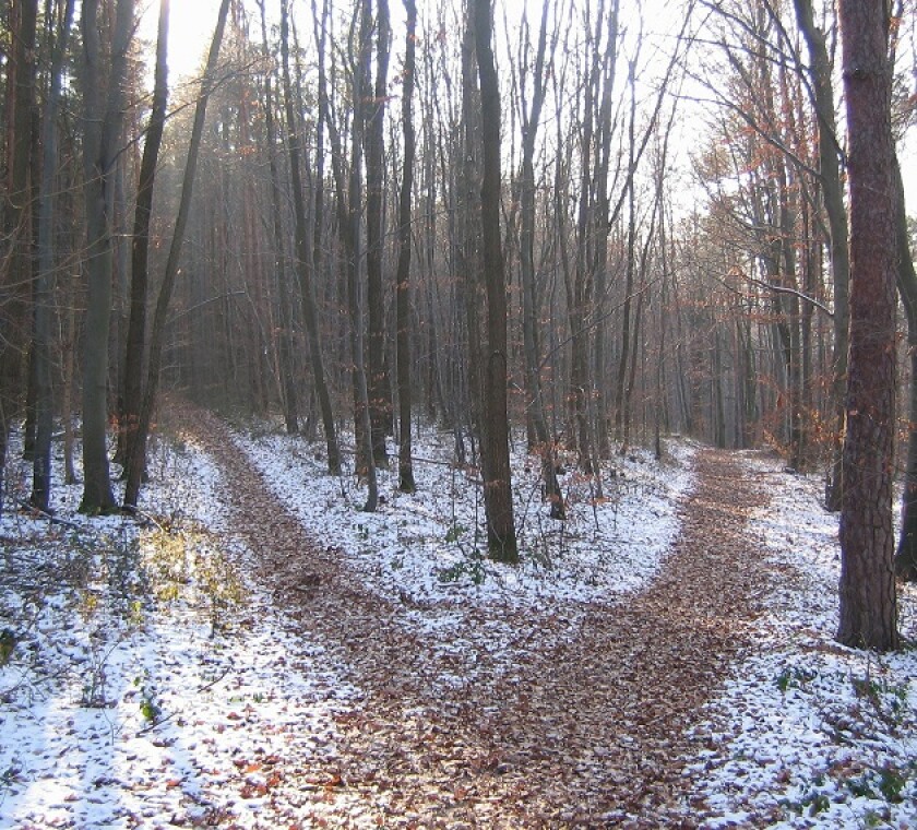 tax-crossroads-630x570