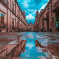 Morelia