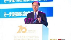chinaipforum.jpg