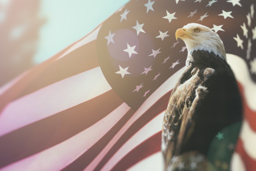 American Bald Eagle Flag Patriotism. Bald Eagle, symbol of Ameri