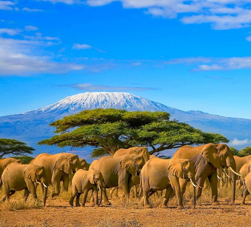 Kenya's DST could be the first in a spate of new taxes levied on MNEs