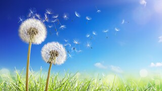 advestra-adobestock-257678784.jpg