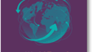 Cover of World Transfer Pricing