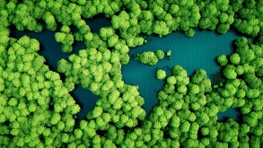 Rainforest lakes in the shape of world continents.