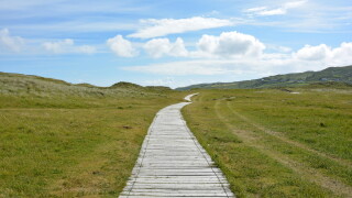 path-1495685.jpg