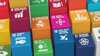 Sustainable Development Goals Blocks-3D Rendered Illustration SD