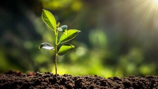 tanzania-plant-breeders-min-final.jpg